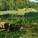 Camp Divlja Rijeka منتزه العطل Hum
