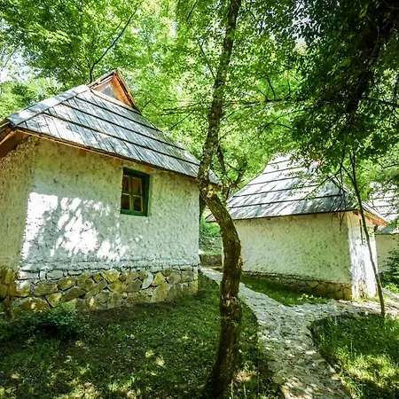 Holiday park Camp Divlja Rijeka Hum