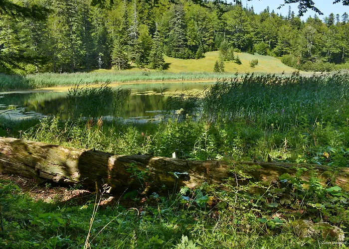 Camp Divlja Rijeka Üdülőpark Hum