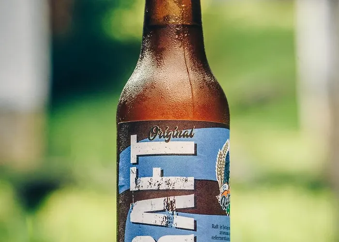 Üdülőpark Camp Divlja Rijeka