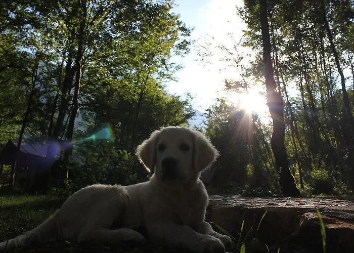 Camp Divlja Rijeka Üdülőpark Hum