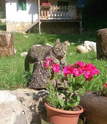 Camp Divlja Rijeka *